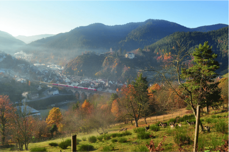 Blume Hausach Konus Karte Unterkunft Kinzigtal Hotel Schwarzwald Hausach