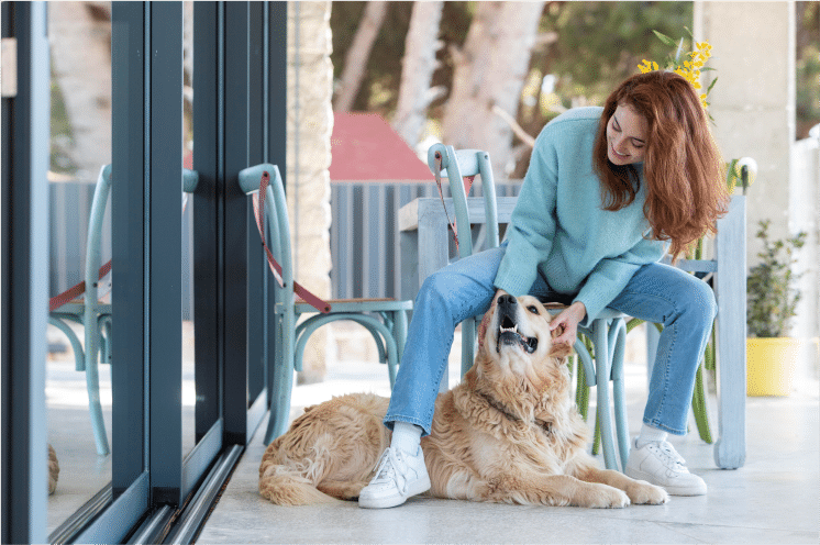 Blume Hausach Zusatzleistungen Hunde Hotel Schwarzwald Hausach Natur Urlaub genießen