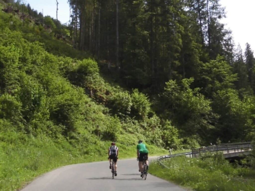 Brandenkopf Radtour Hotel Hausach Schwarzwaldregion Urlaub Natur