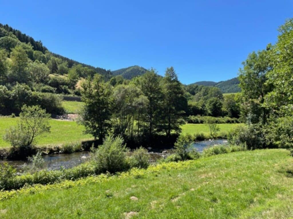 Rennrad Tour Schwarzwaldhotel Hausach Urlaub Erholung Natur