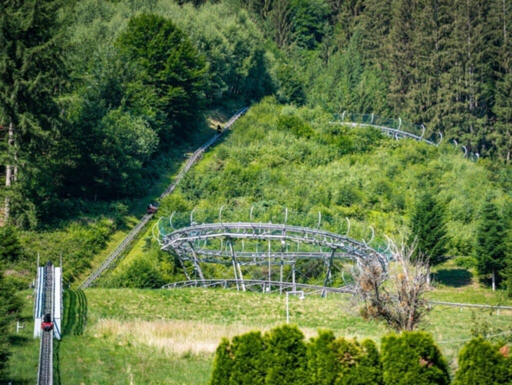 Sommerrodelbahn Schwarzwald Natur Hotel Hausach Urlaub